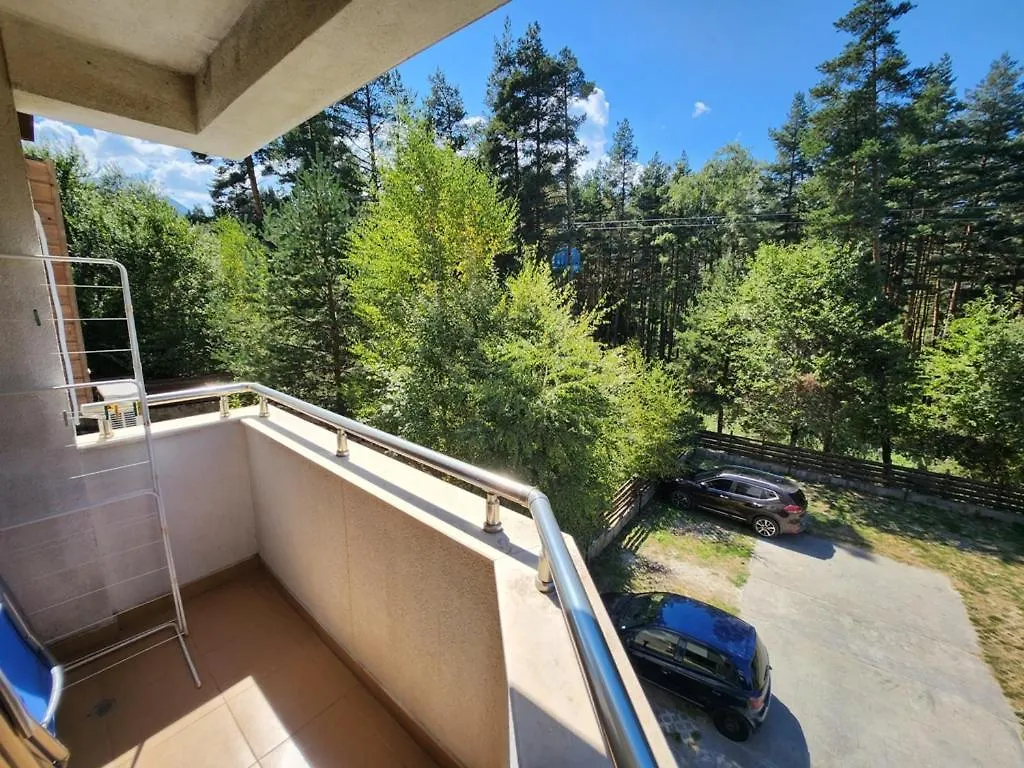 Pine Tree Easy Ski Access - Next 100M To Ski Slope And Forest View 반스코 0*,  불가리아